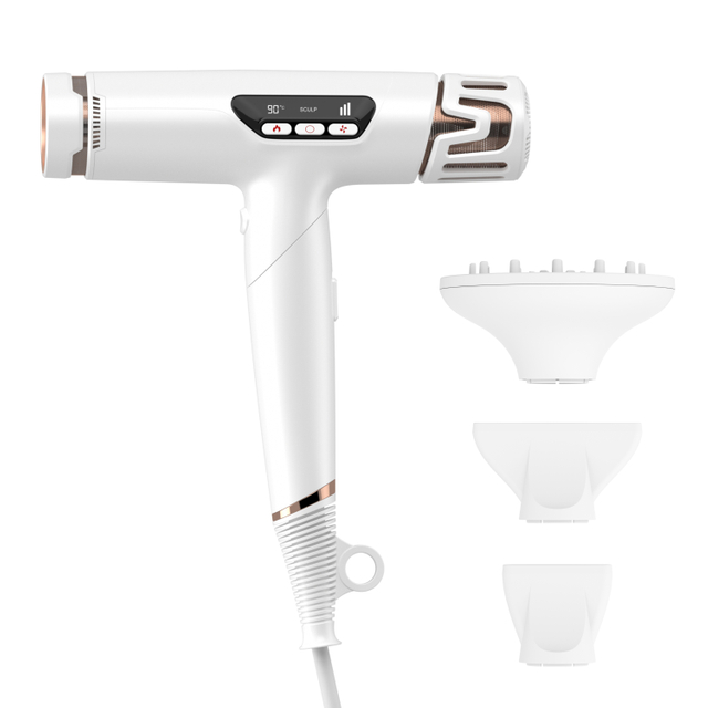 Professional Salon Hotel Foldable High Speed Bldc Ionic Hair Dryer