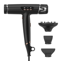 High Quality Salon Infared Bldc Motor Travel Led Hair Blow Dryers