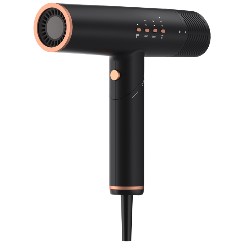 Private Label Nano Bldc Motor Super Anion Blow Hair Dryer with Diffuser