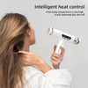 Salon Portable Fast 110000rpm Brushless Motor Ion Diffuser Hair Dryer